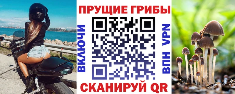 дарнет шоп  Малаховка  Галлюциногенные грибы Magic Shrooms 